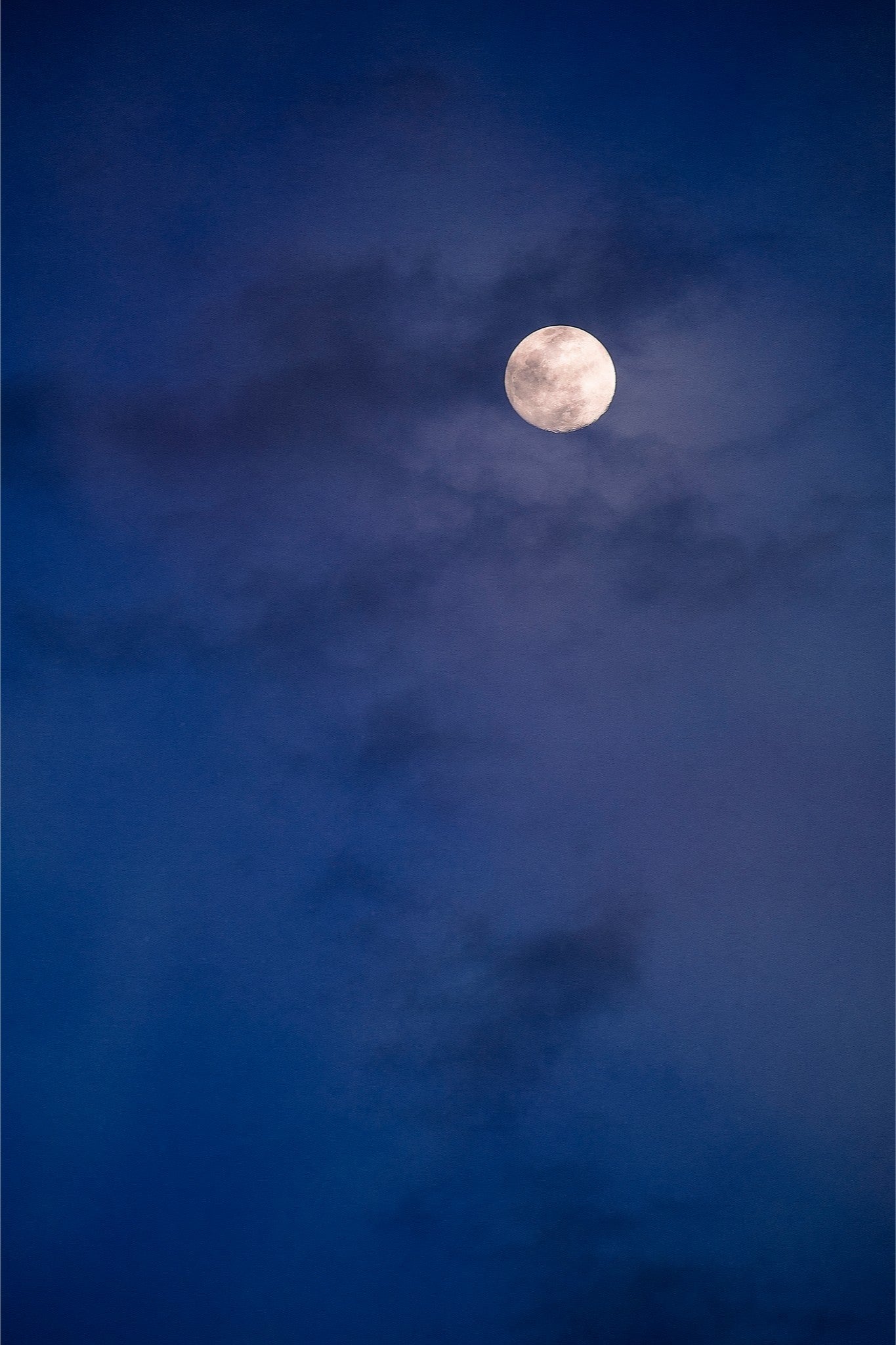 Organ Mountains Moonrise I