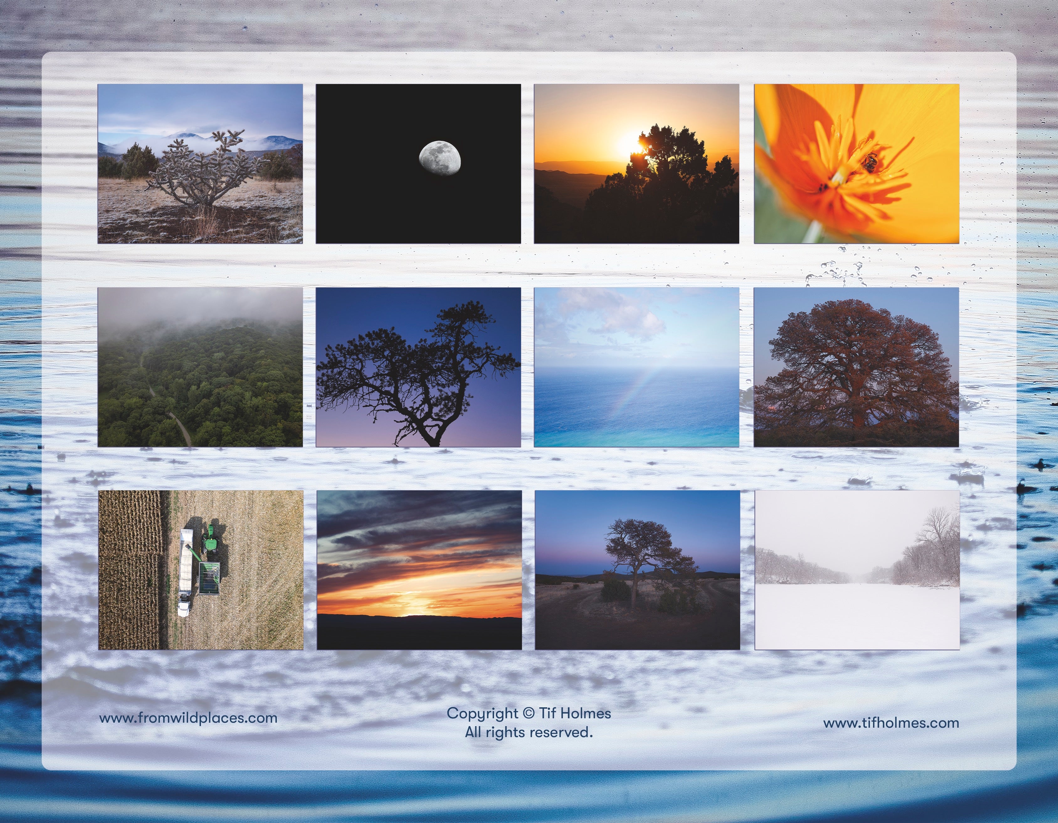 2026 Nature Wall Calendar