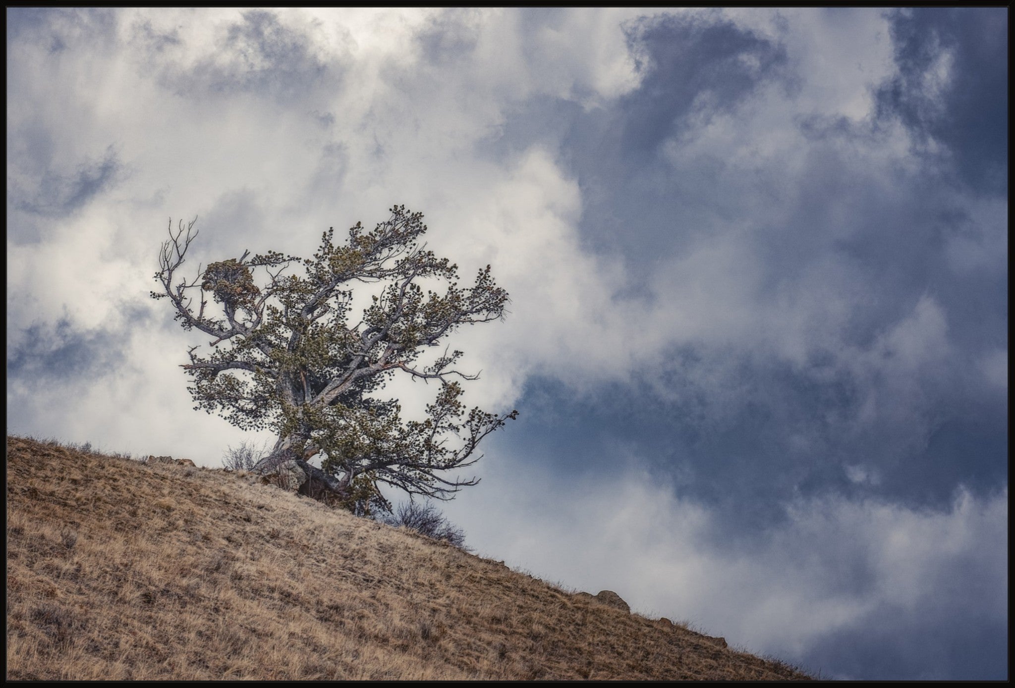 Sky and Land