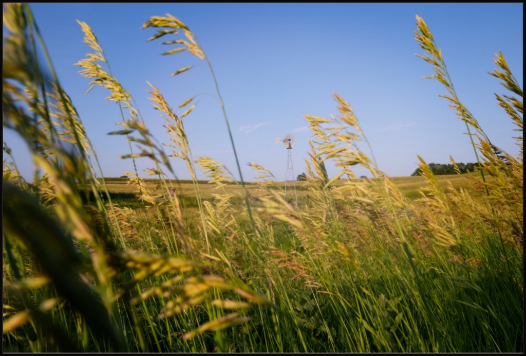 Historic Windmill and Prairie Grass