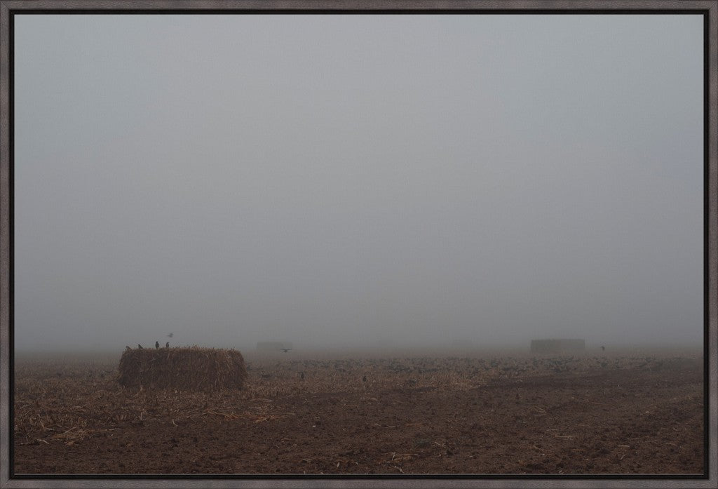 West Texas Winter Fog - 5