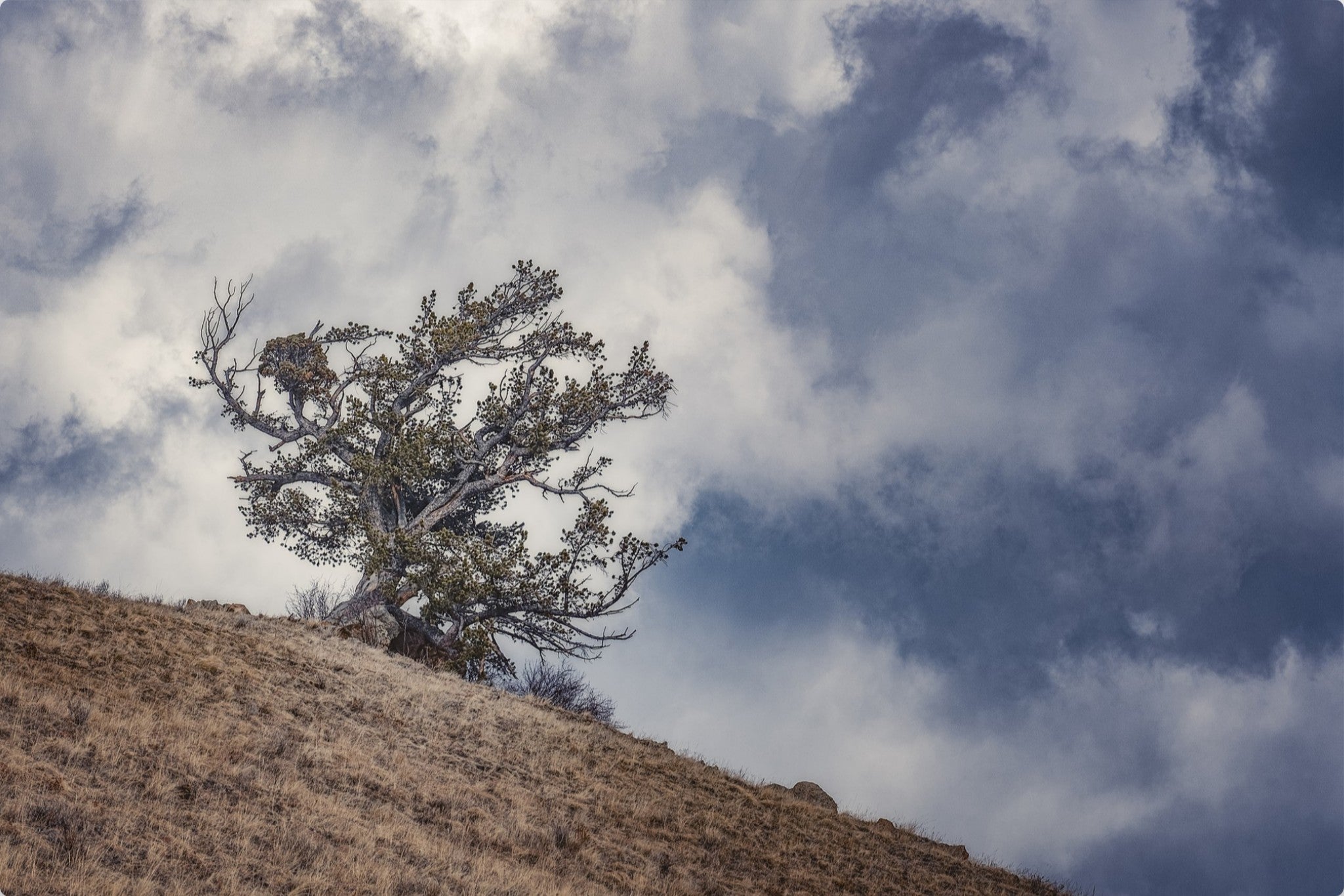 Sky and Land