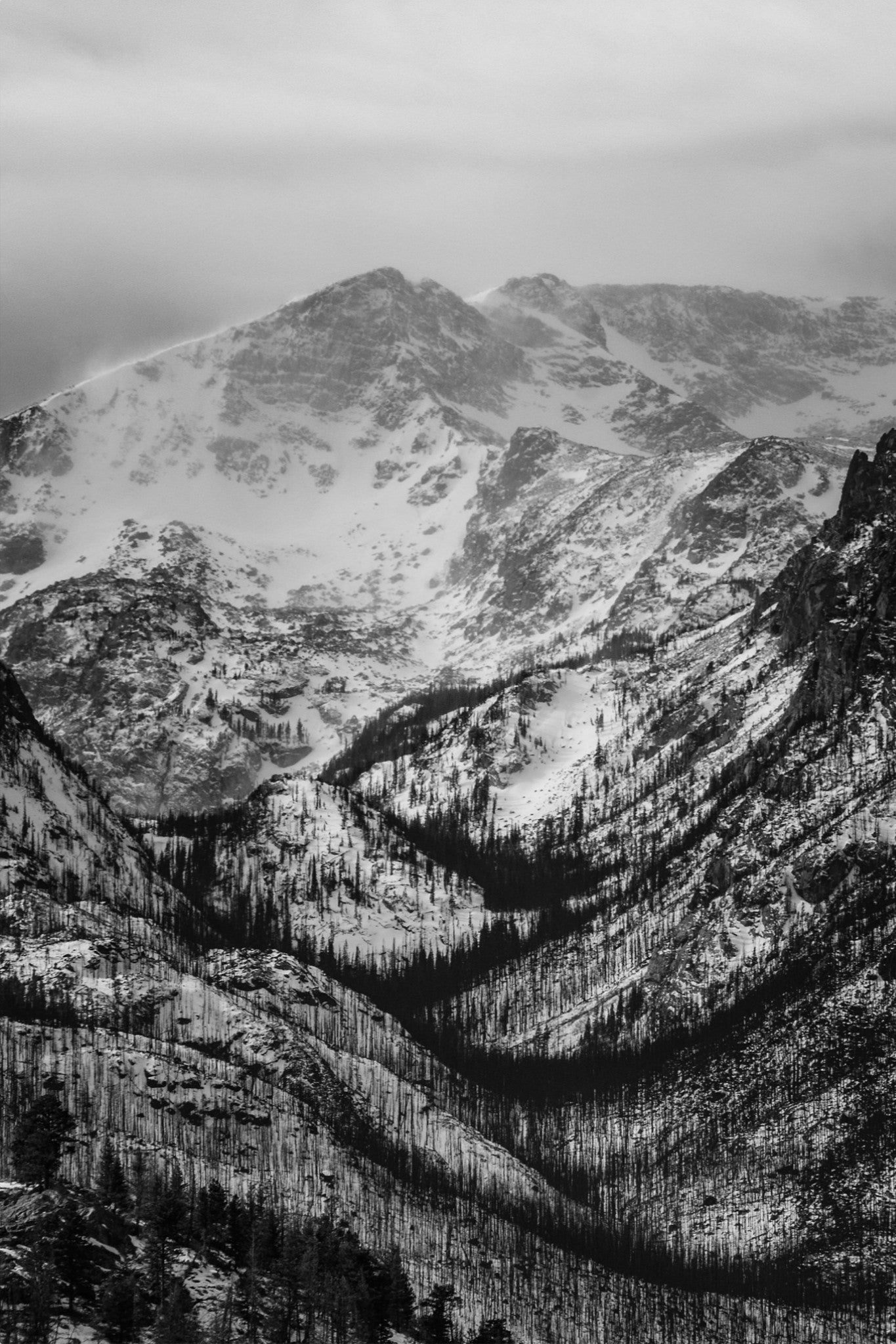 Winter Gulley