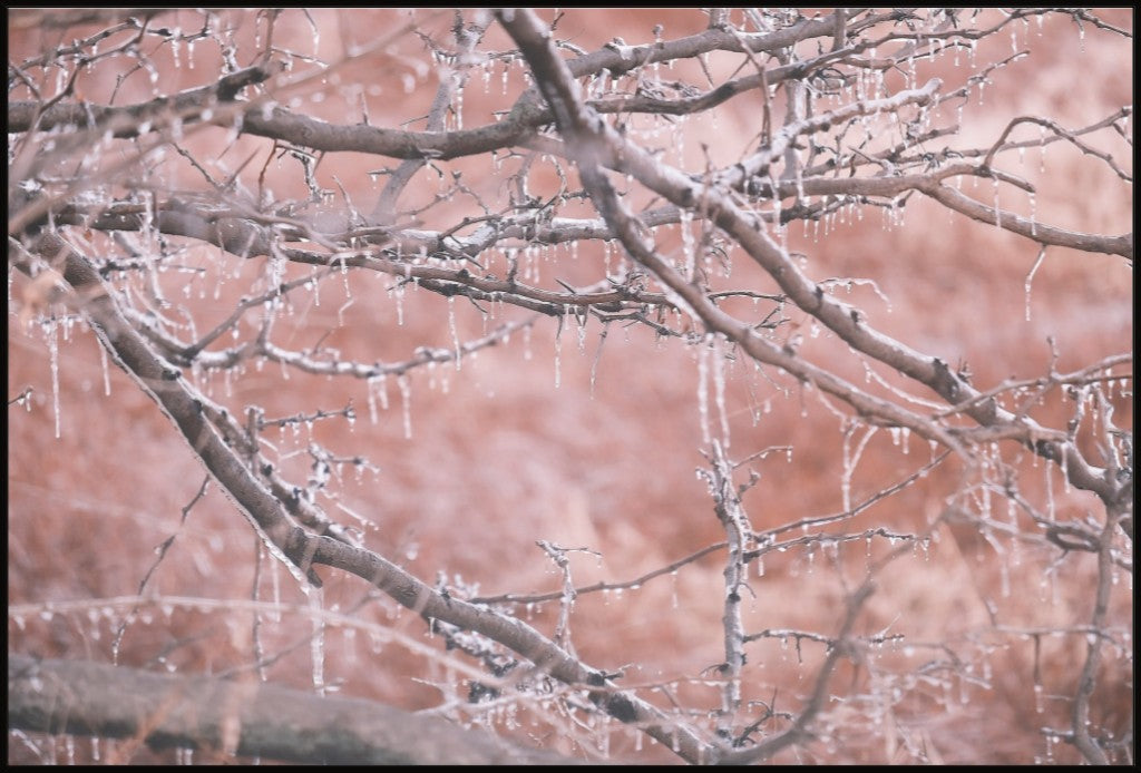 Midwest Winter Freeze