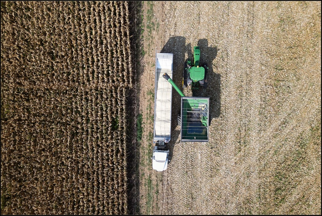 Aerial Corn Harvest IV