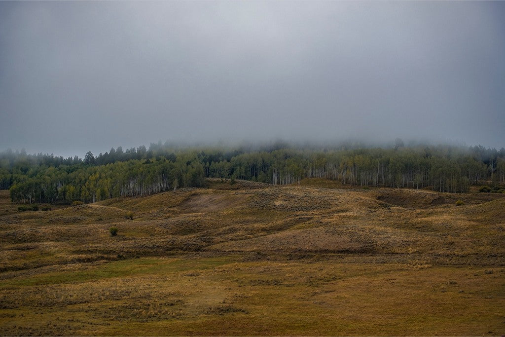 Low Clouds