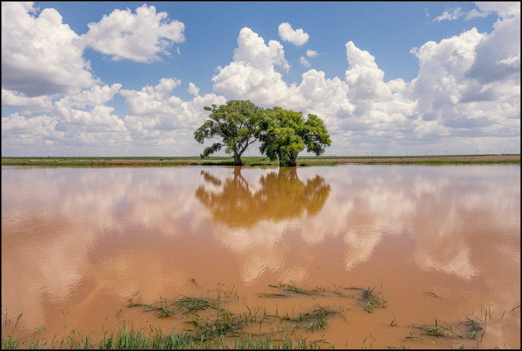Muddy Reflections