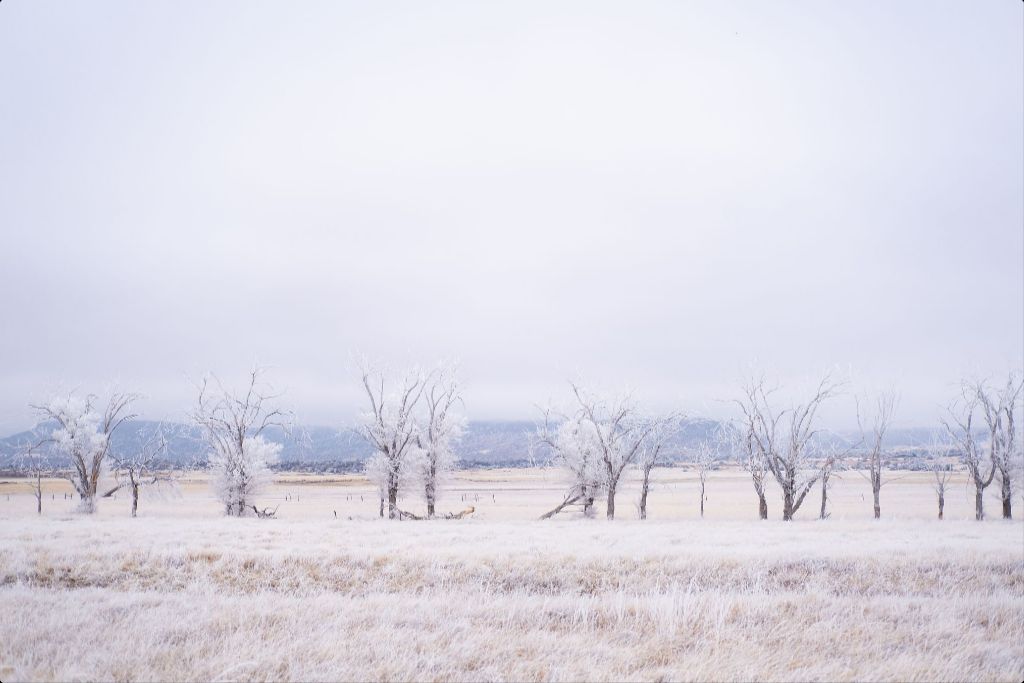 Frozen Enchantment III