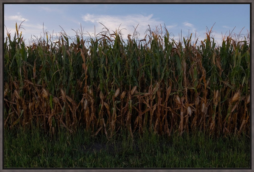 Land of the Tall Corn I