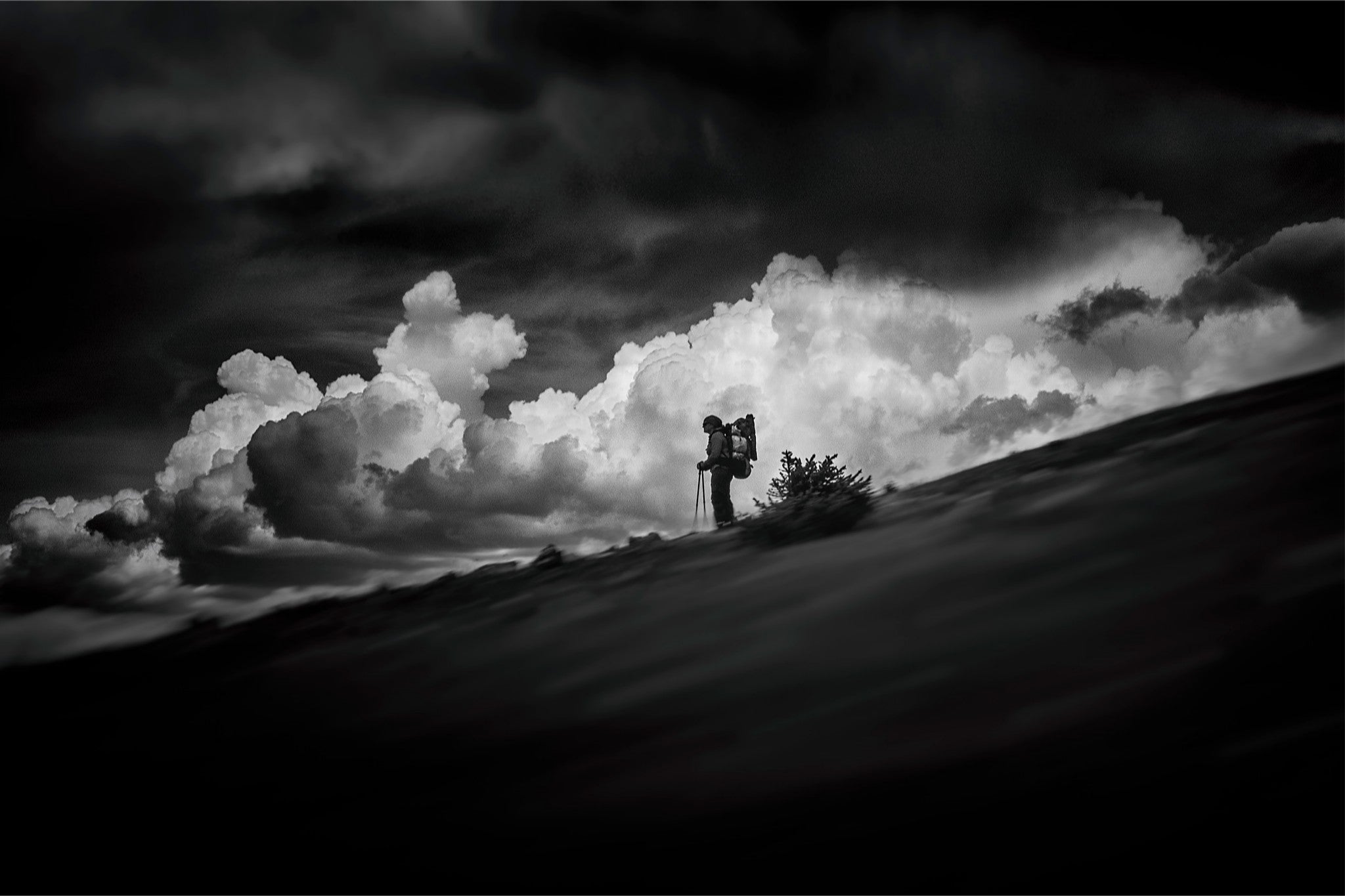 The Hiker