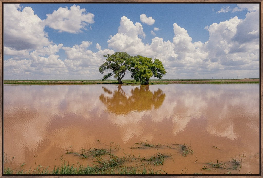 Muddy Reflections