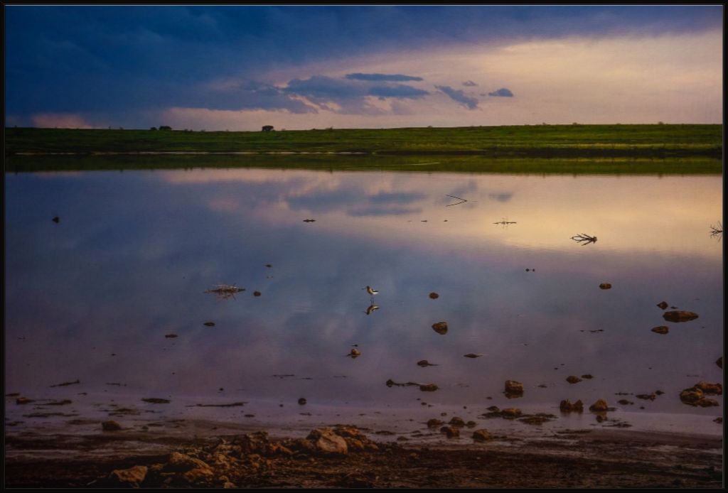 Muleshoe Reflections I