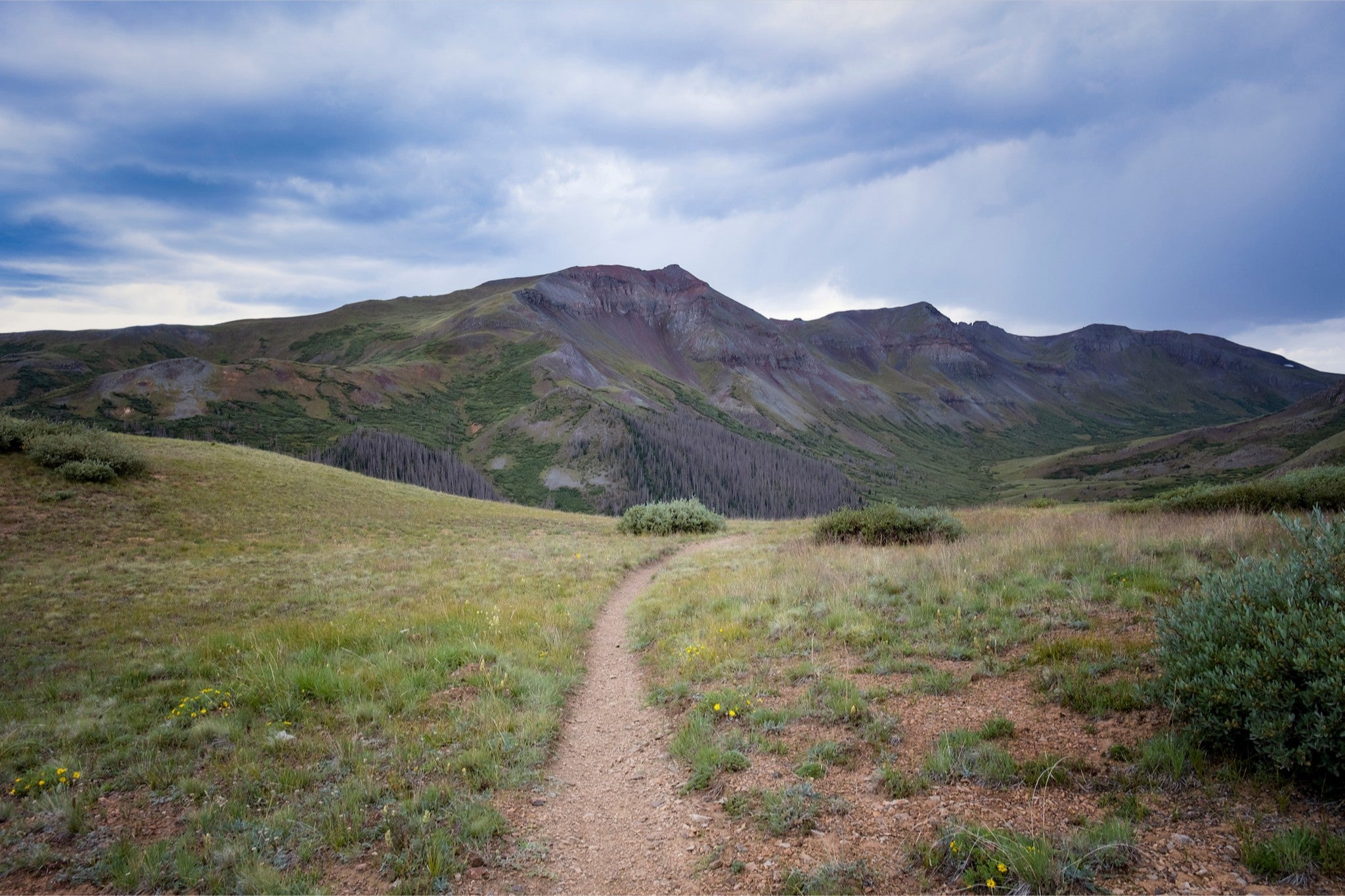 Into the San Juans