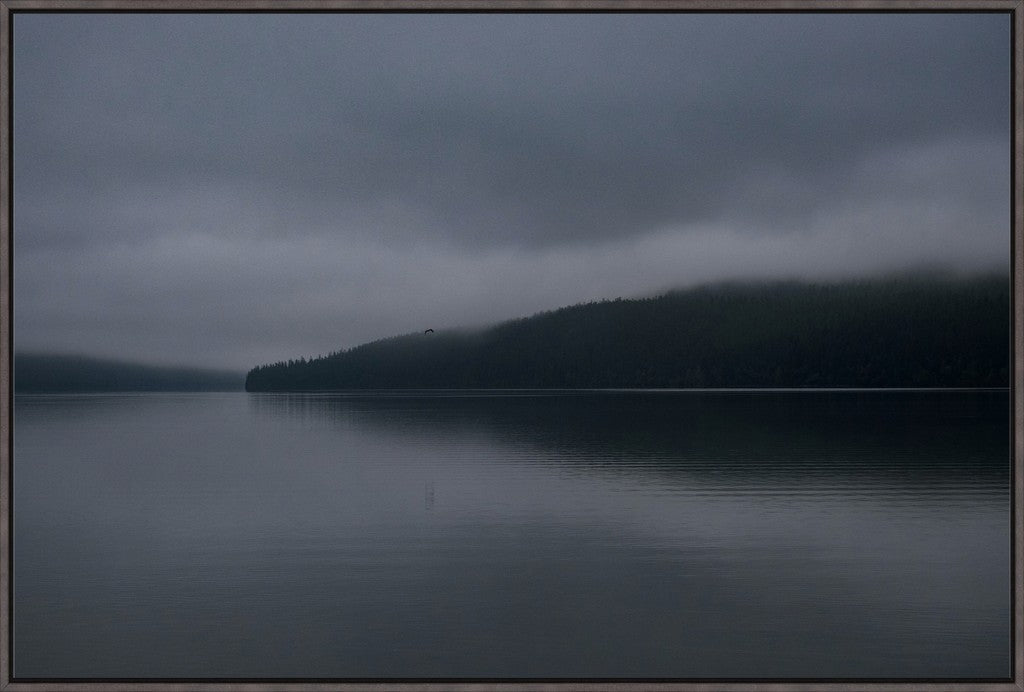 Dark Waters + Bird in Flight