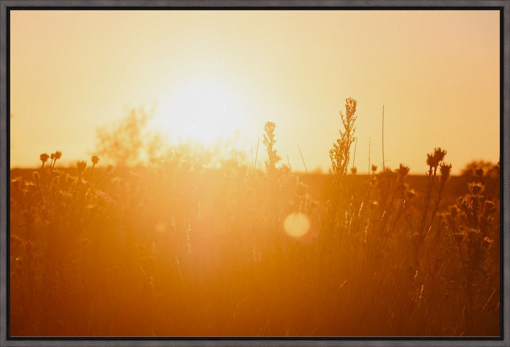 South Plains Sunset