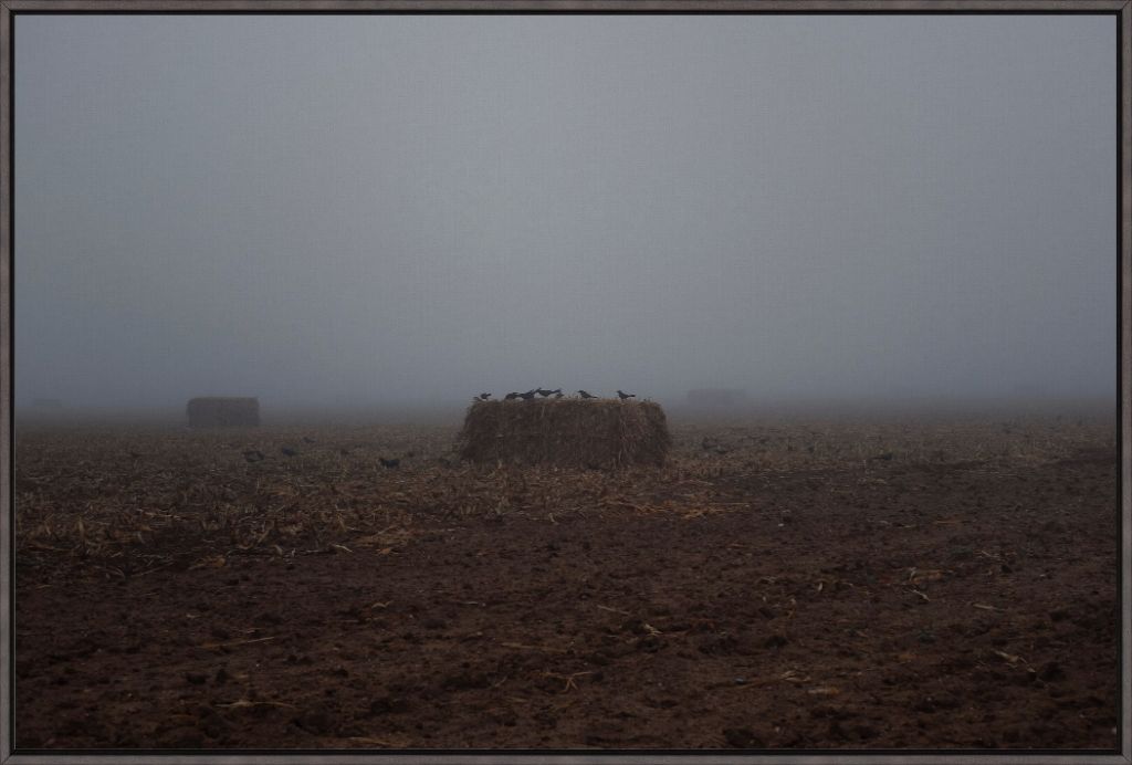 West Texas Winter Fog - 7