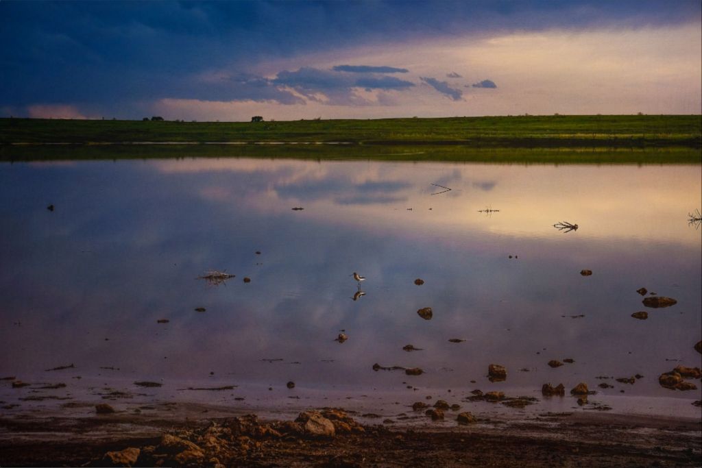 Muleshoe Reflections I