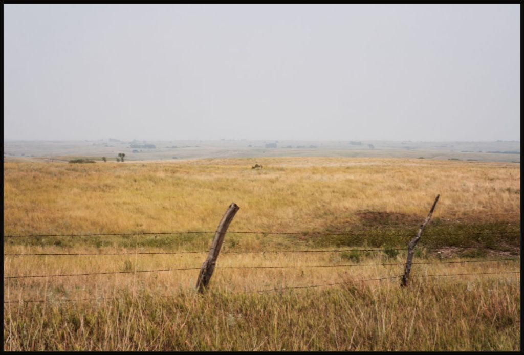 Southern Great Plains Grassland