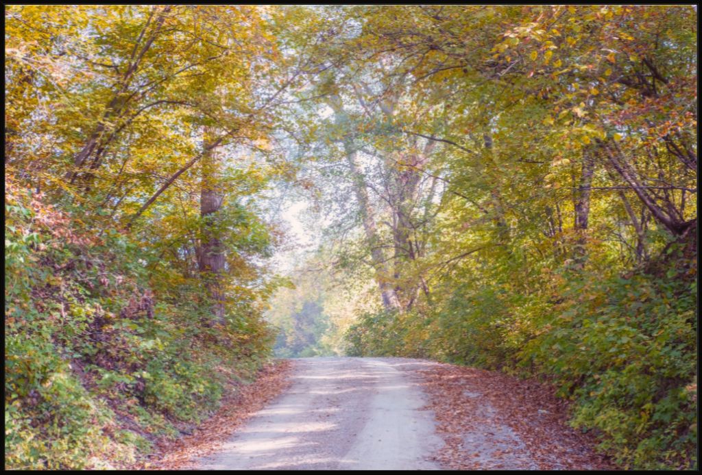 Midwest Fall Colors