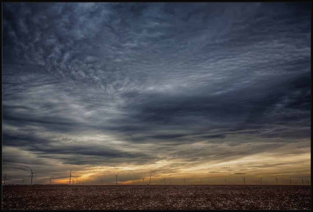 West Texas Cotton and Windmills