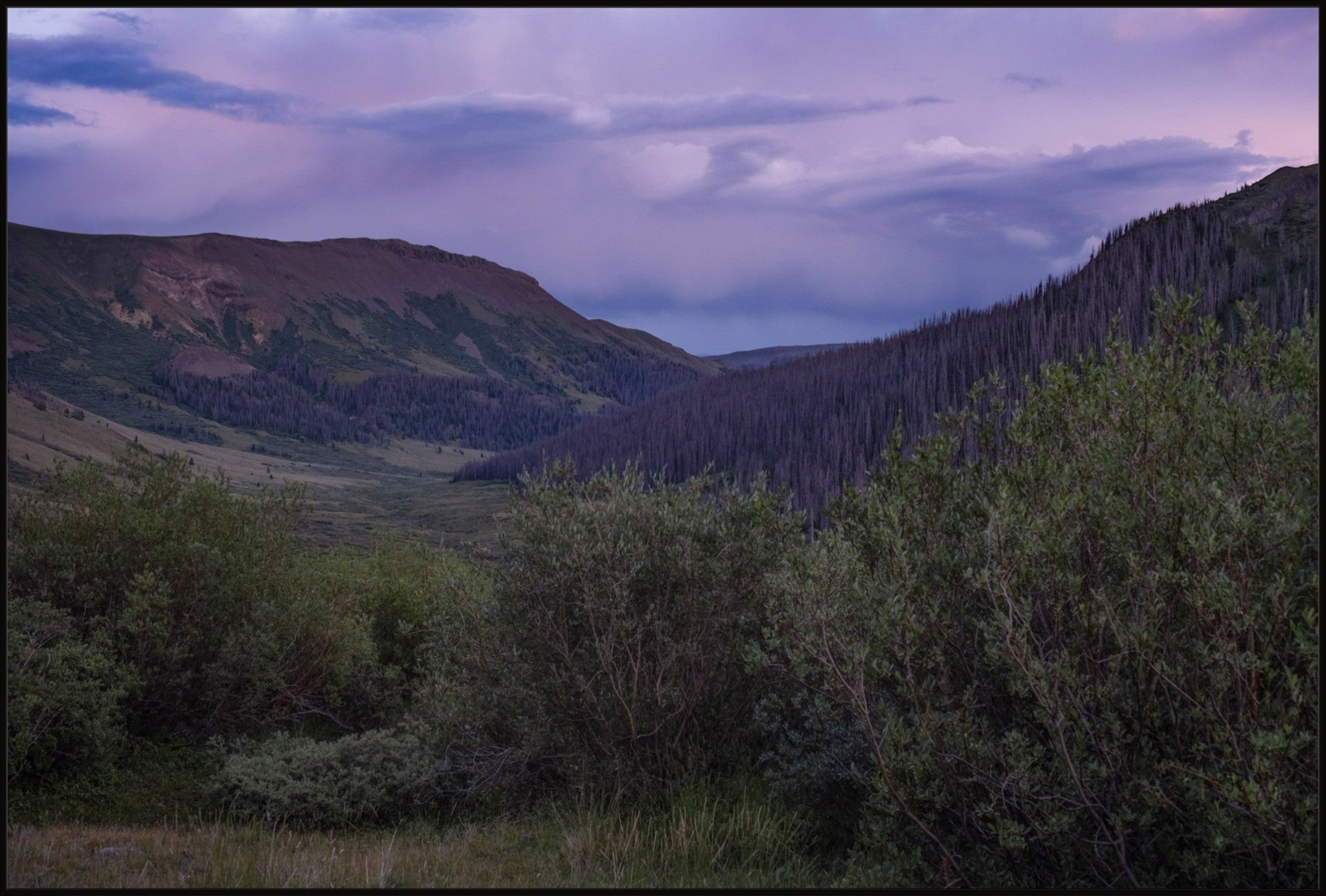 Violet Sunset I
