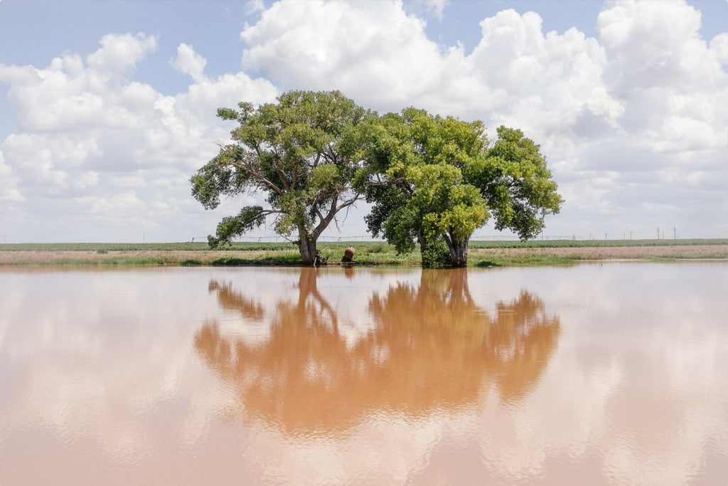Soft Reflections