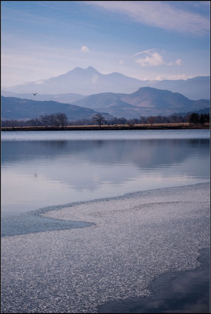 Longs Peak and Bird in Flight