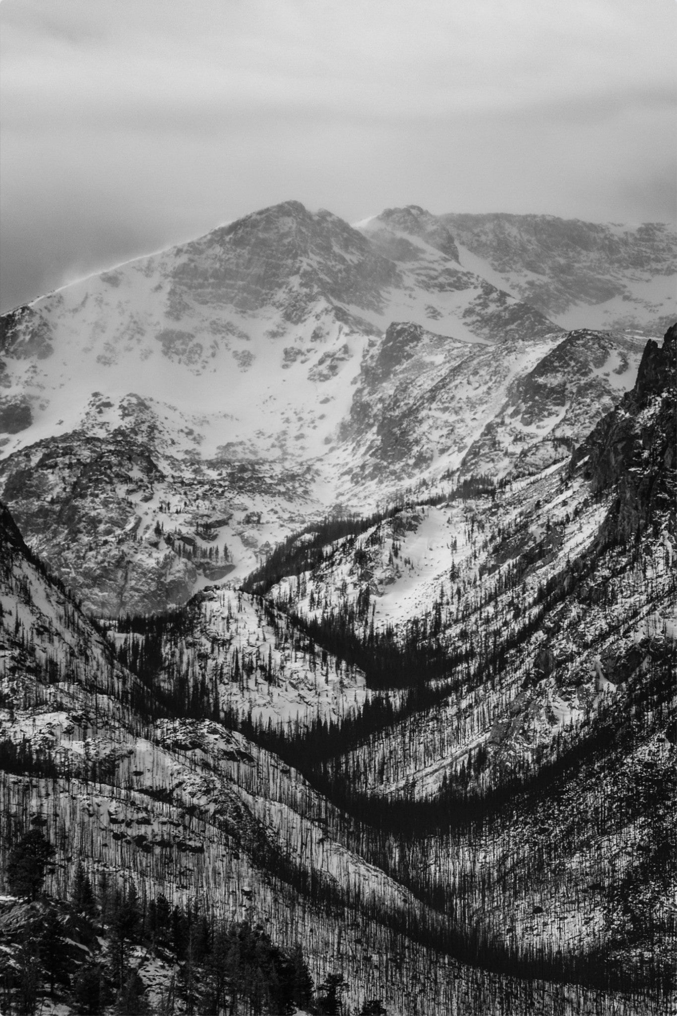 Winter Gulley