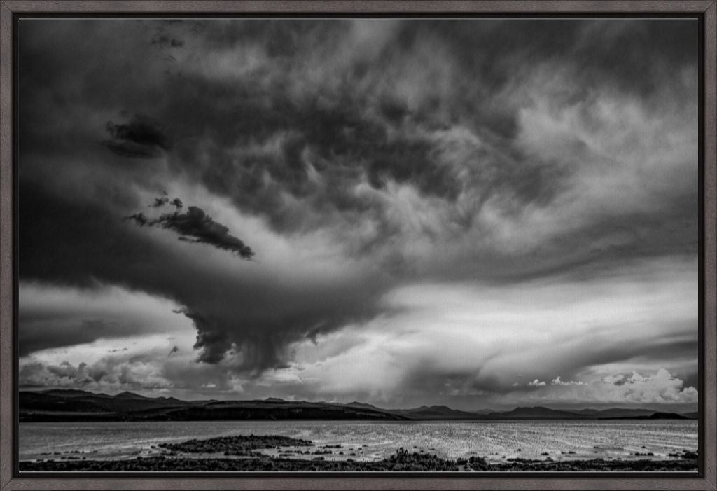 Monochrome Seascape