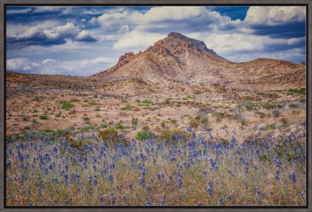 Bluebonnet Sky