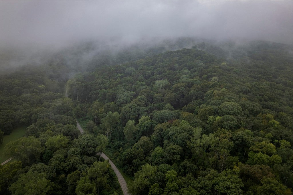 Fog Over the Bluffs Aerial