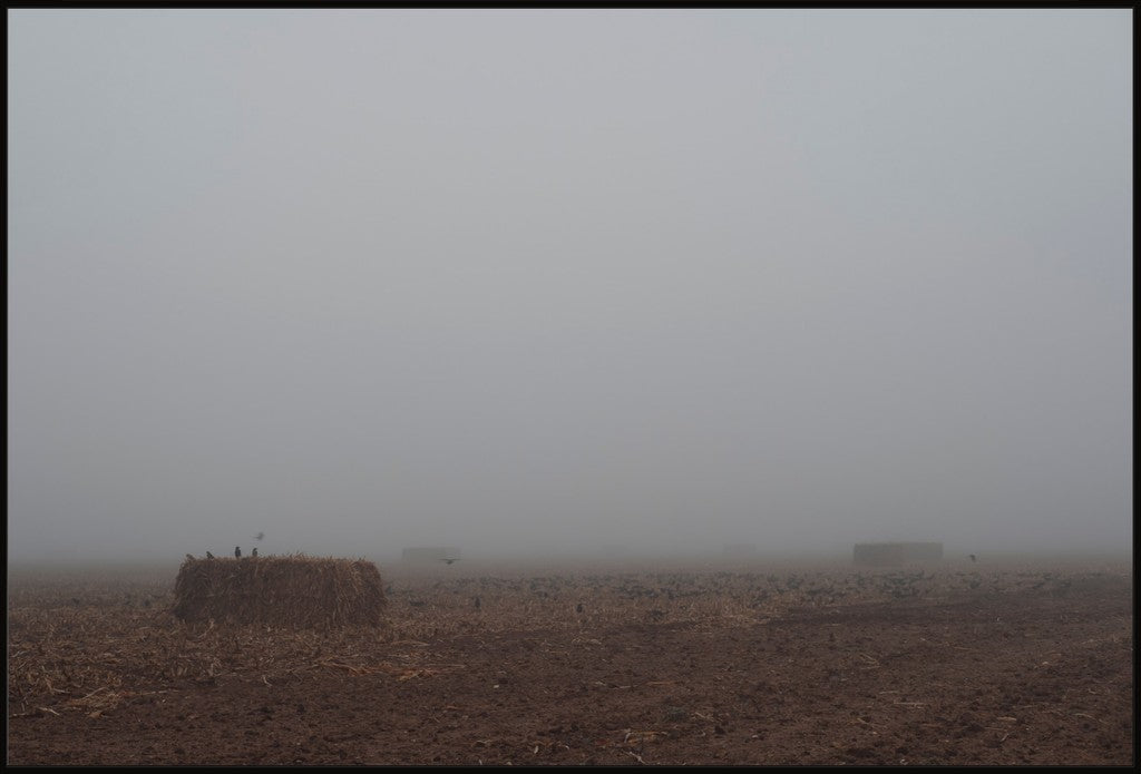 West Texas Winter Fog - 5