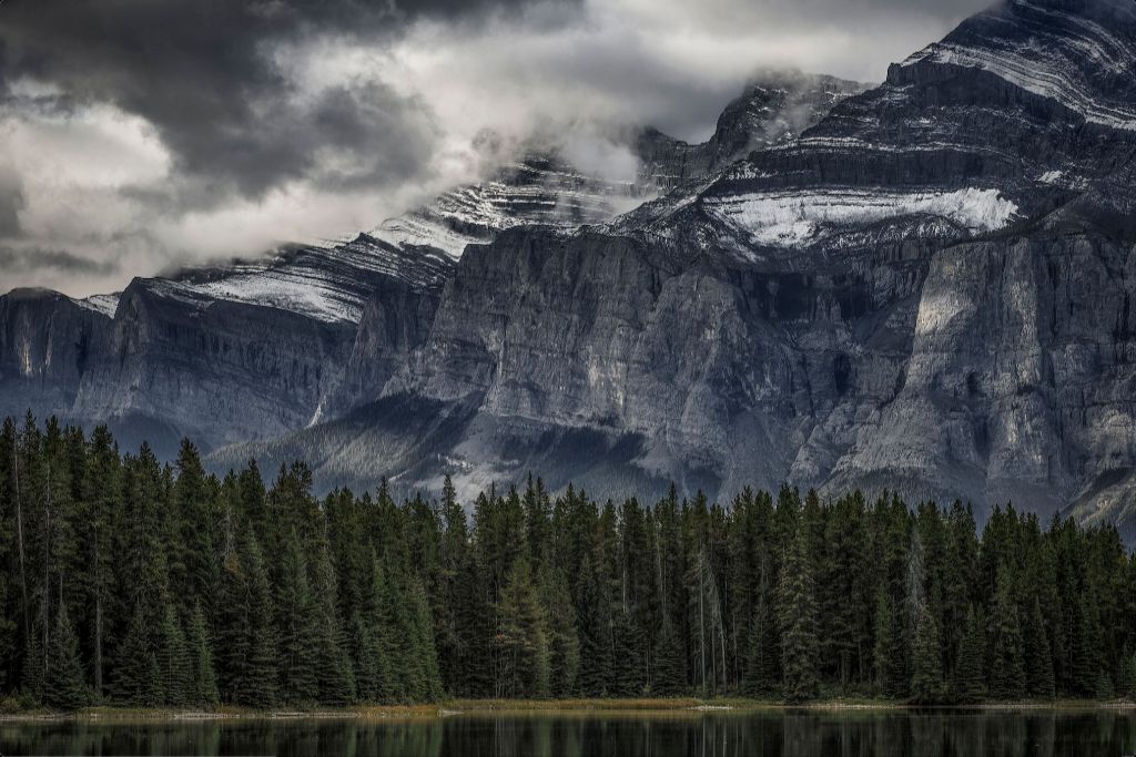 Green Forest and Mountain