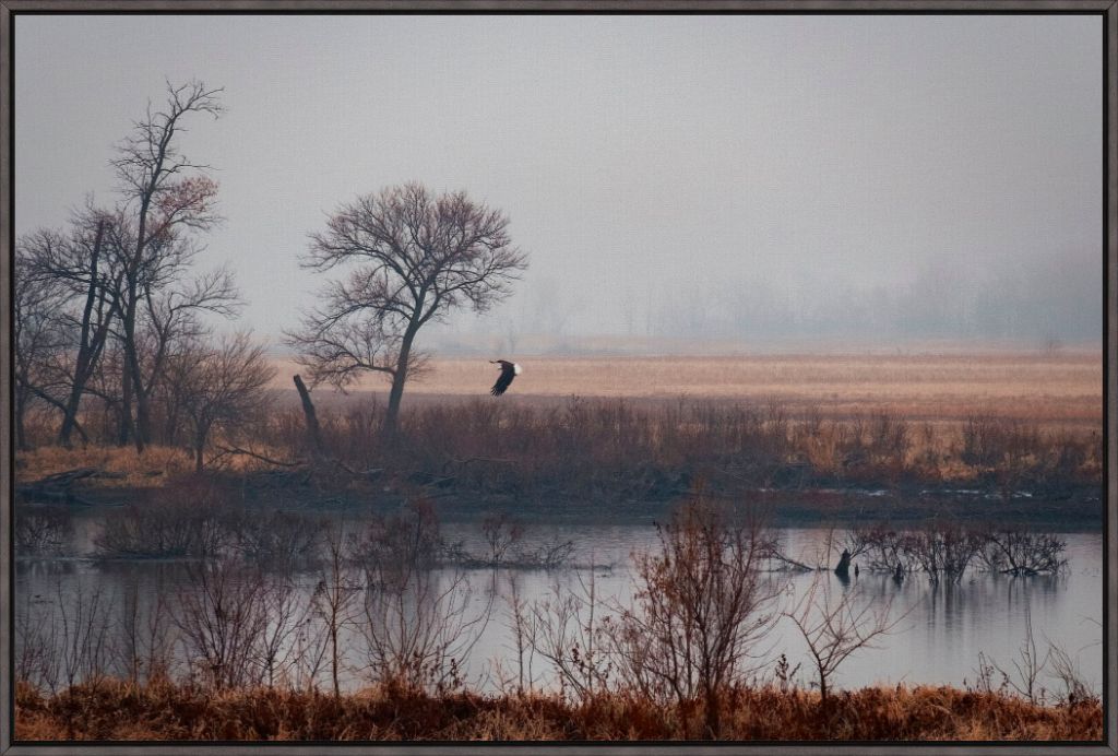 Nebraska Wetlands