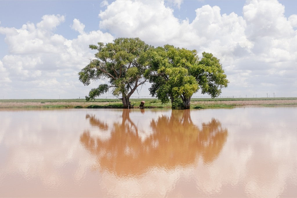 Soft Reflections