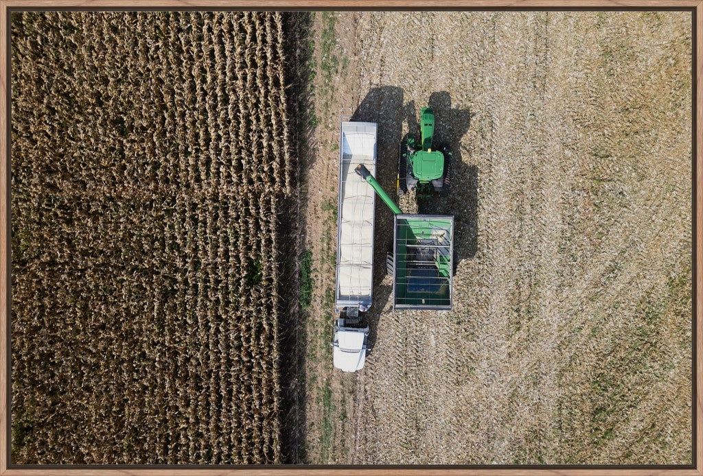 Aerial Corn Harvest IV