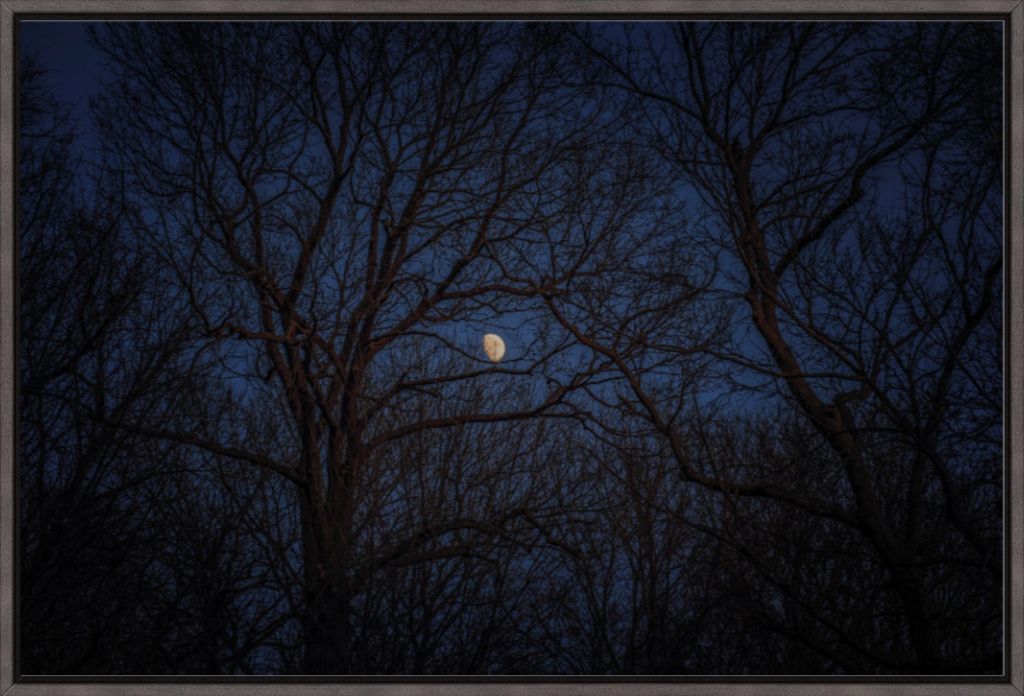 Winter Moon