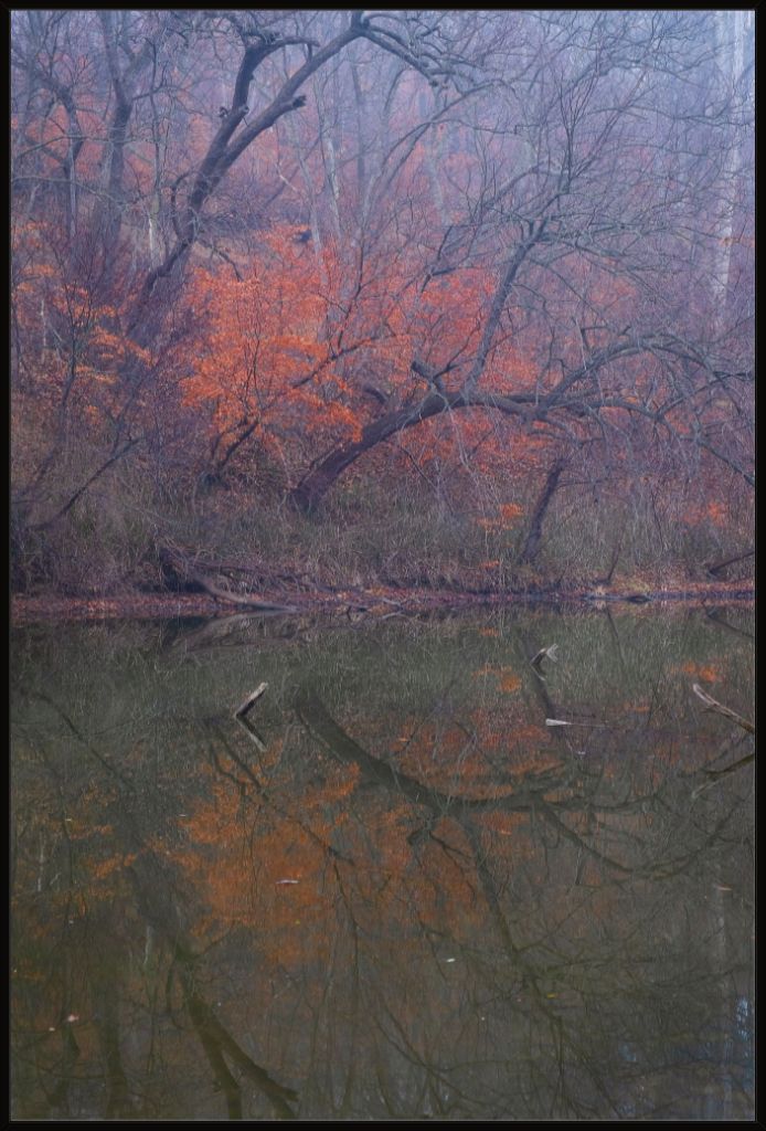 Winter Woodland and Lake Reflections