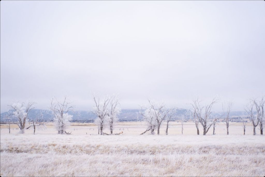 Frozen Enchantment III