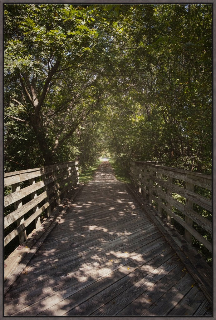 Rural Bike Path II