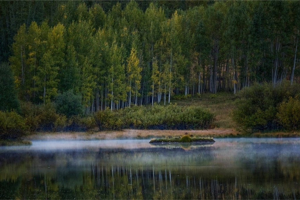 Misty Lake and Island