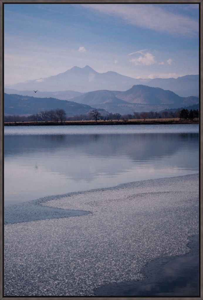 Longs Peak and Bird in Flight