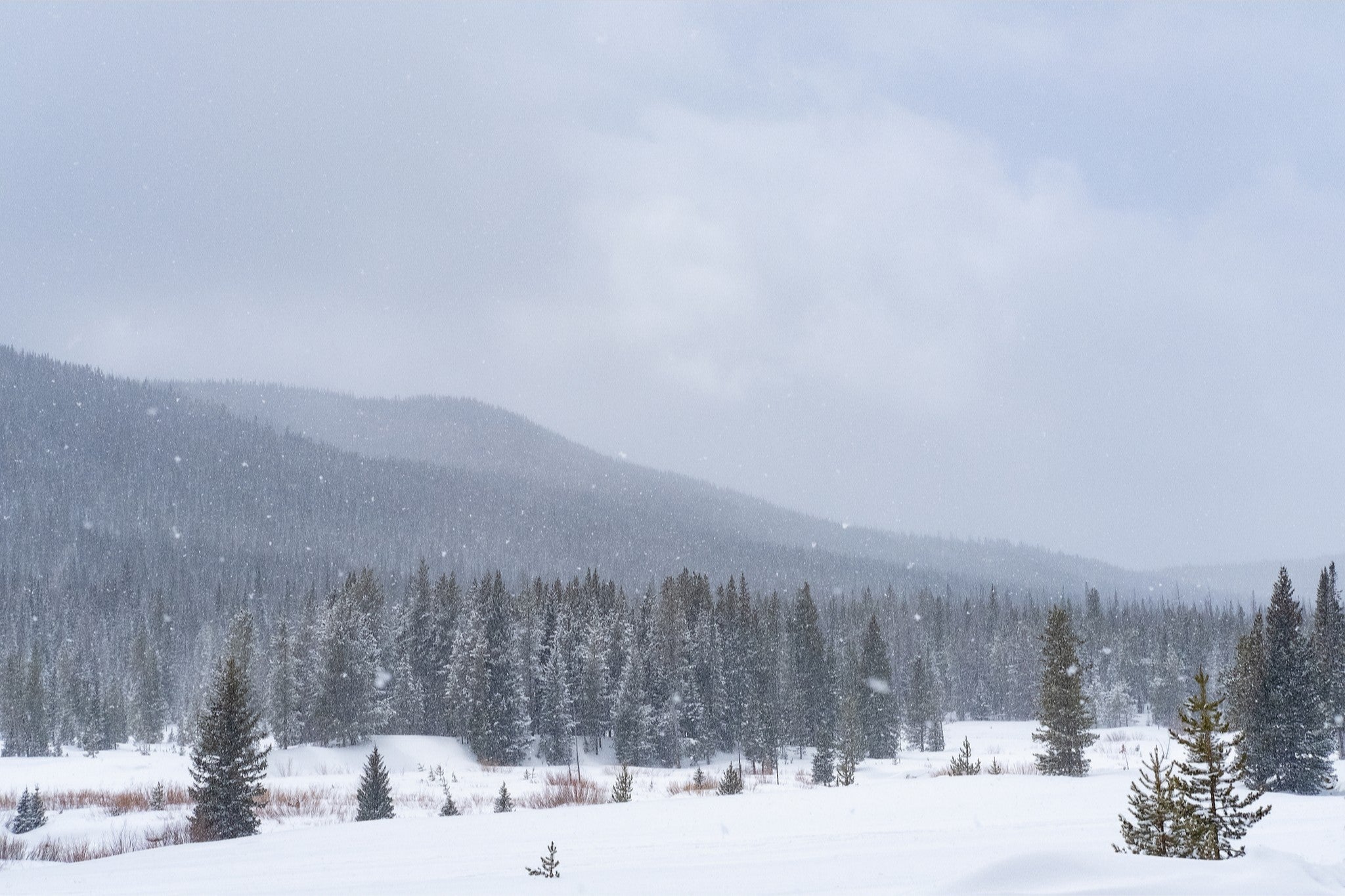 Late Winter Snowfall