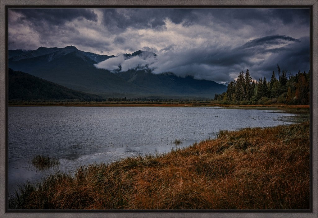 Alberta Wilderness Scene