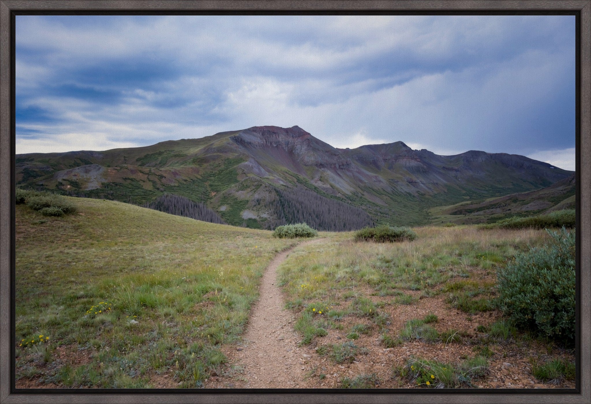 Into the San Juans