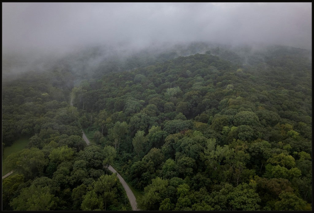 Fog Over the Bluffs Aerial