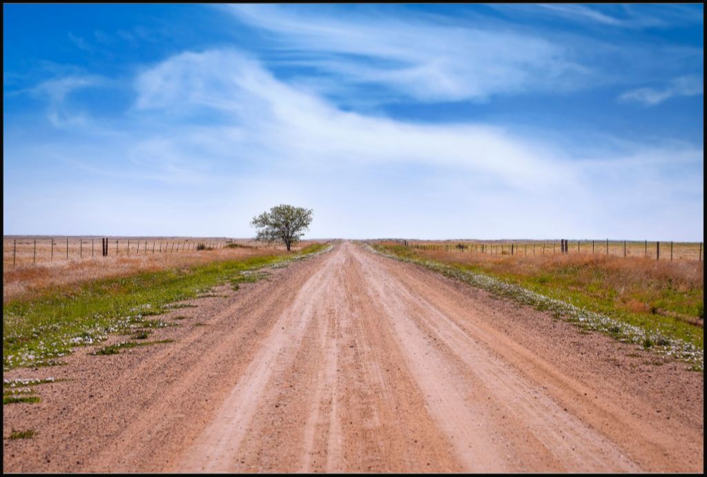 West Texas Farm Road in Summer