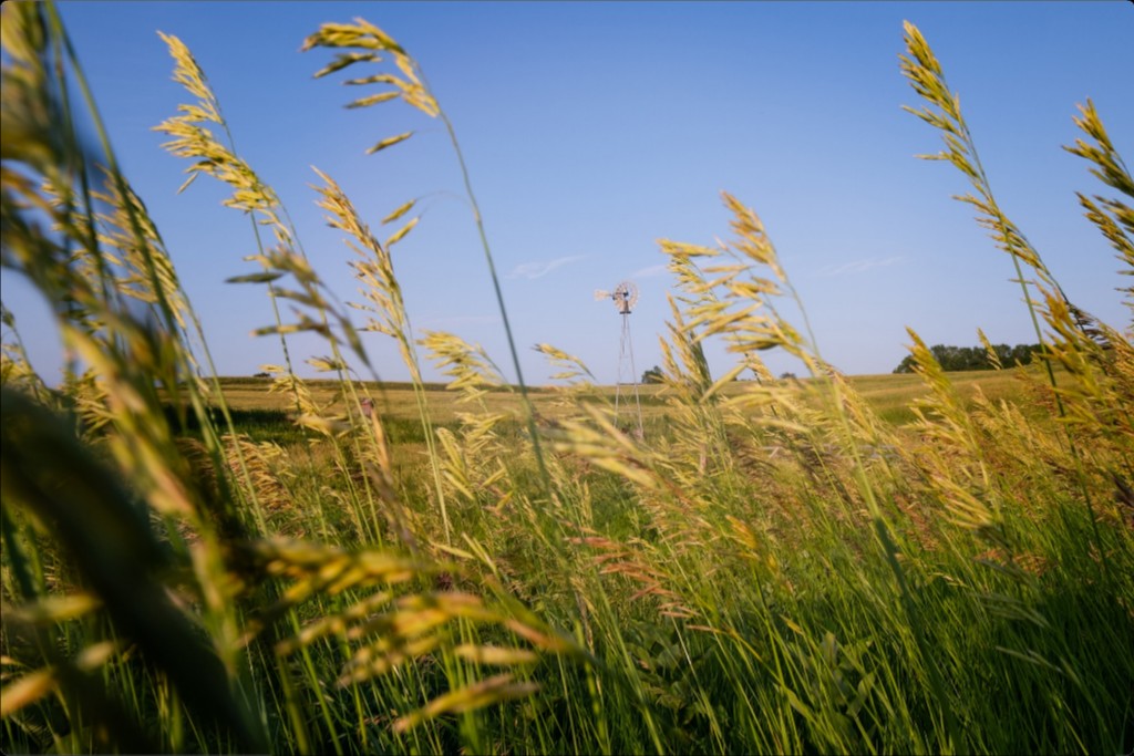 Historic Windmill and Prairie Grass