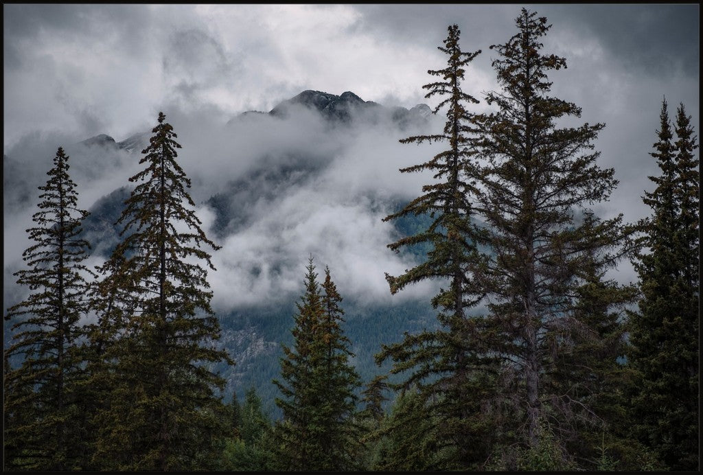 Banff Mountain View