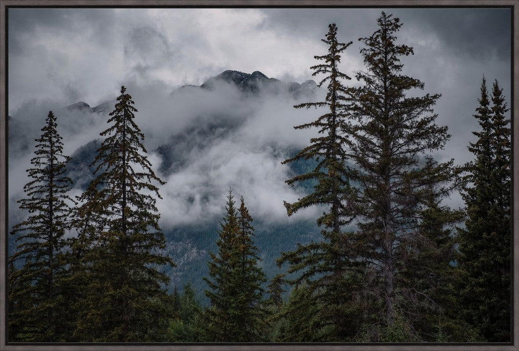 Banff Mountain View